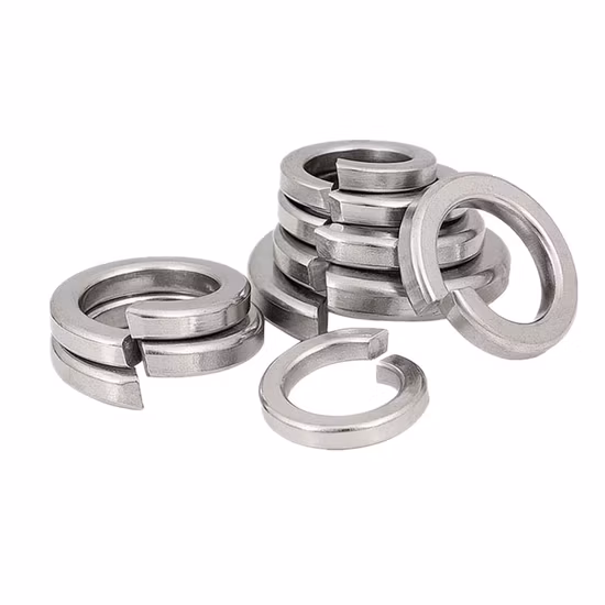 China Fastener Factory Custom Spring Lock Washer