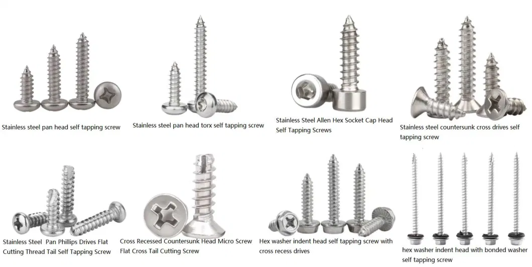 Stainless Steel Screws/Self Tapping Drilling Screw/Roofing Screw/Machine Screw/Hex Wood Timber Screw/Chipboard Drywall Screw /Hex Socket Set Grub Screws